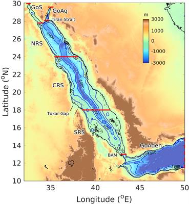 Seasonal variability of Red Sea mixed layer depth: the influence of atmospheric buoyancy and momentum forcing